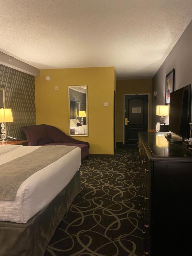 Park Manor Hotel 克利夫顿帕克 外观 照片 A room at the Hilton Garden Inn in San Francisco